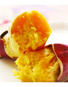 泉城烤薯加盟詳解 費(fèi)用、總部及地瓜坊餐飲管理分析